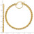 14k Polished and D/C Rope 2.95mm Hoop Earrings - ER-B7C06E82-1942