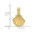 14K Polished and Engraved Shell Charm