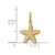 14k Polished and Textured CZ Starfish Charm / Pendant