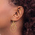14k Polished Circles Dangle Earrings - TL-9414B273-8152