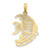 14K Polished CURACAO Under Angelfish Charm