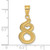 14k Polished Etched Number 8 Pendant