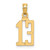 14k Polished Number 13 Pendant