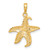14k Polished Open-Backed Starfish Pendant - C2-53ABE3D8-9207