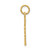 14k Registered Nurse Practitioner Charm