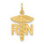 14k RN Nurse Charm - C4-593A804E-5817