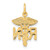 14k RN Nurse Charm - C4-593A804E-5817