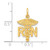 14k RN Nurse Charm - C4-593A804E-5817