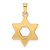14k Rose Polished Solid Star of David Pendant
