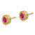 14k Ruby and Diamond Earrings - EM-0C37B374-9393
