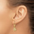 14K Sand Dollar W/Star Leverback Earrings