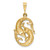14k Satin Diamond-cut Pisces Zodiac Charm - C4-BD371E5F-8126