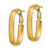 14K Satin Oval Omega Back Hoop Earrings