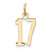 14k Small Elongated Number 17 Charm