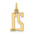 14k Small Elongated Number 21 Charm