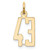 14k Small Elongated Number 43 Charm