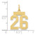 14k Small Satin Number 26 Charm