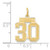 14k Small Satin Number 30 Charm