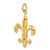 14k Solid Fleur de Lis 3-D Charm