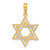 14K Star of David Pendant - C4-DB839EB4-3881