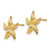 14k Starfish Earrings - E9-F6CAE291-7411