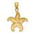 14K Starfish Pendant - C4-1E10E423-1519