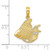 14K Textured Fish Charm