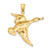 14K Textured Flying Duck Charm