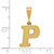 14k Textured Initial P Charm