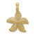 14K Textured Starfish Charm - K8-6B83FED2-9657