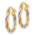 14k Tri-color Polished 2.5mm Twisted Hoop Earrings
