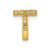 14K  Diamond Letter T Initial Charm