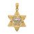 14k Two-tone Gold Polished Star of David w/Chai Pendant