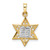 14k Two-tone Polished Solid Star and Torah Pendant