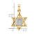 14k Two-tone Polished Solid Star and Torah Pendant