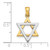 14K Two-Tone Star Of David Charm