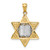 14k Two-tone Star of David Pendant - C4-9EFC67AB-3808