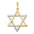 14k Two-tone Star Of David Pendant - CG-11FEEDA9-3375