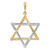 14k Two-tone Star Of David Pendant - CG-11FEEDA9-3375