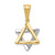 14k Two-tone Star of David Pendant - CG-F6F7B841-2346
