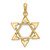 14k Two-tone Star of David Pendant - K1-AF7AB13A-1570