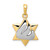14k Two-tone Star of David Pendant - K1-D53CE160-2579