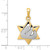 14k Two-tone Star of David Pendant - K1-D53CE160-2579