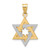 14K Two-Tone Star Of David Pendant - XK-8544919B-8146