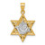 14k Two-tone Textured Dove On Star Of David Pendant
