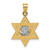14k Two-tone Textured Dove On Star Of David Pendant