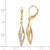 14K Two-tone with White Rhodium Diamond-cut Leverback Earrings
