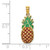 14K w/ Enamel 2-D Pineapple Charm