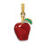14K w/ Enamel 3-D Red Delicious Apple Charm