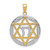 14K w/Rhodium Polished Star of David w/Chai Round Pendant